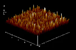 1660320583818 1006 Inprocess Membrane 1660320583818 1006 Inprocess Membrane