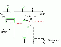 0907_InSites_resized 0907_InSites_resized