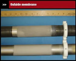 cp0803_memFig1 cp0803_memFig1