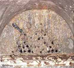 maint_fig1 maint_fig1