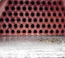 maint_fig2 maint_fig2