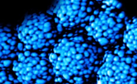 1660328947589 Fig2 Cover June