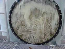 QPACnoCalciumDep_web QPACnoCalciumDep_web