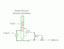 1660329043664 Cp0601 Insitesfigure1 Web 1660329043664 Cp0601 Insitesfigure1 Web
