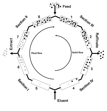 1660329124372 Cp0509smb Fig1