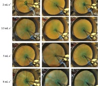 1660602526867 1404newspinenzymereactionsts