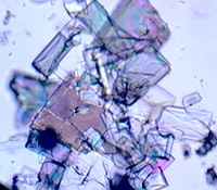 1660602807083 1305tsmetalorganicmaterialadvancescarboncapture