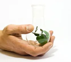 1660603012011 1209compliance 1660603012011 1209compliance