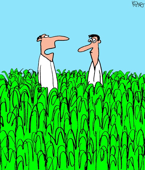 cartoon-caption-170418