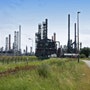 1660603974256 1105 Energysaver Plant Button