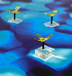 1661880212937 Multiplepolyps1