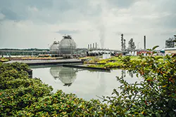 1661880633899 Imageeademoplantvalidated1 1661880633899 Imageeademoplantvalidated1