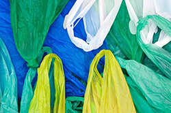 1661881361743 8492de3eed2b4ac0800x800ar