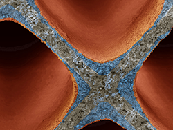 1661881437036 062118basfcatalyst