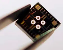 1661894139719 Chip 1661894139719 Chip