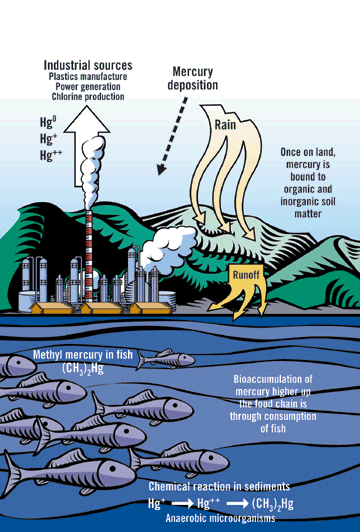 1661897723310 Zzzz930