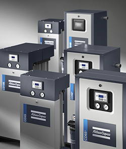 CDS+CDplus-groupshot-c-2020