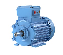 ABB-LV-flameproof-motor1