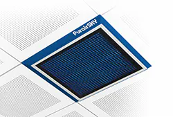 1663366885073 Sky 1663366885073 Sky