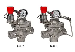 1663368163918 Casslrsnr 1663368163918 Casslrsnr