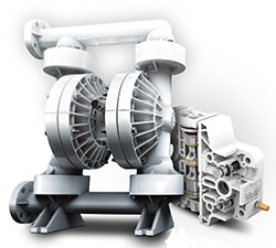 1663368165444 Wildenshiftssplscopy