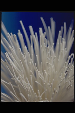 1663370413571 Nanoceramic0922