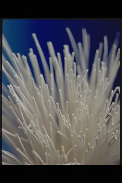 1663370413571 Nanoceramic0922 1663370413571 Nanoceramic0922