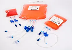 1663371082808 Meissner 1663371082808 Meissner