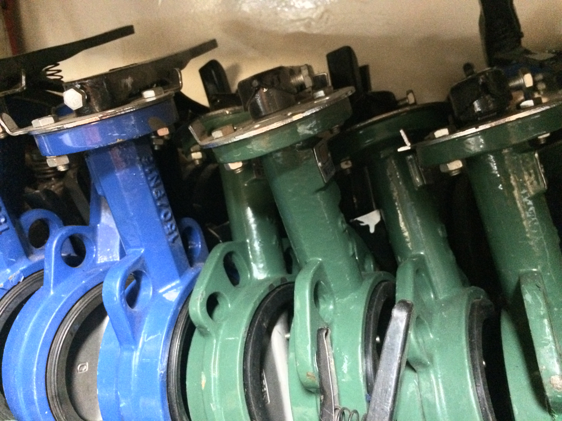 Shutterstock 1058291609 63fcdbe18153a