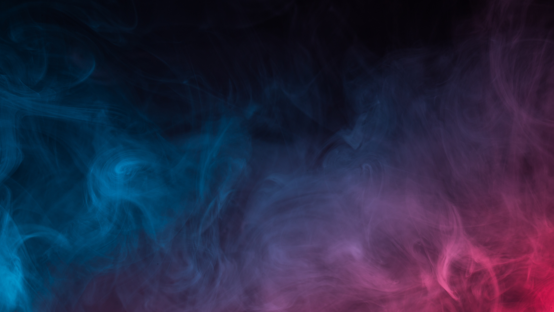 Shutterstock 1247273248