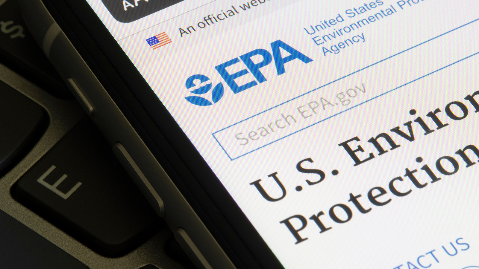 Shutterstock 1960296829 6480eb35ac938