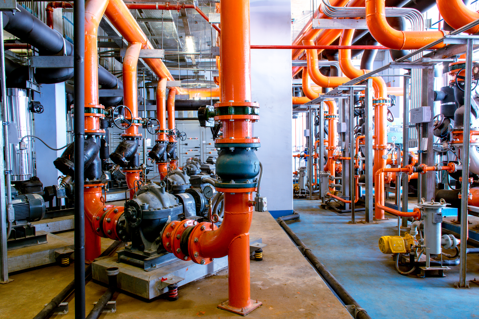 Shutterstock 743833879