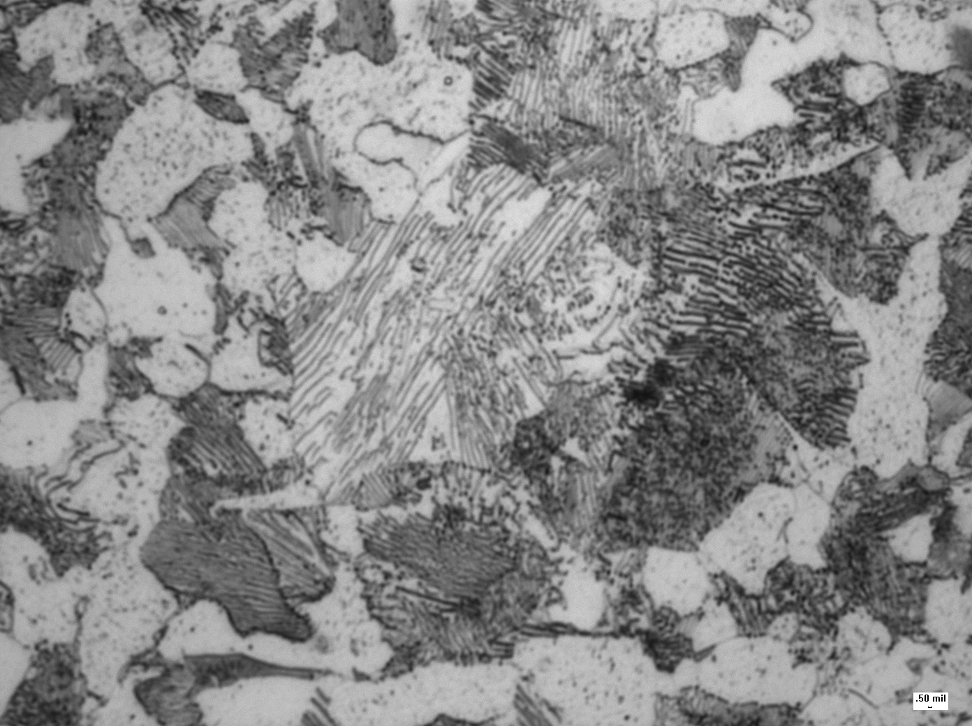 Figure 1. Carbon steel corrodes uniformly, so a corrosion allowance can be used. Photo courtesy of Matco Associates, Inc., Pittsburgh, PA.