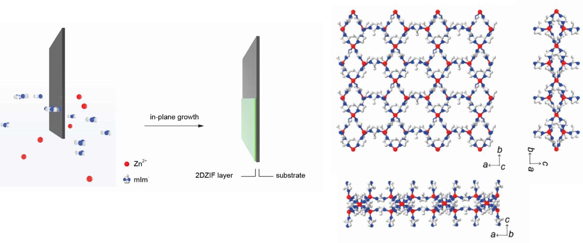Figure 1. Schematic showing (l) straightforward crystallization of 2D ZIF film by dipping a substrate in ultra dilute precursor solution at room temperature, and (r) crystal structure of 2D ZIF where white, blue, and red atoms represent carbon, nitrogen, and zinc atoms.