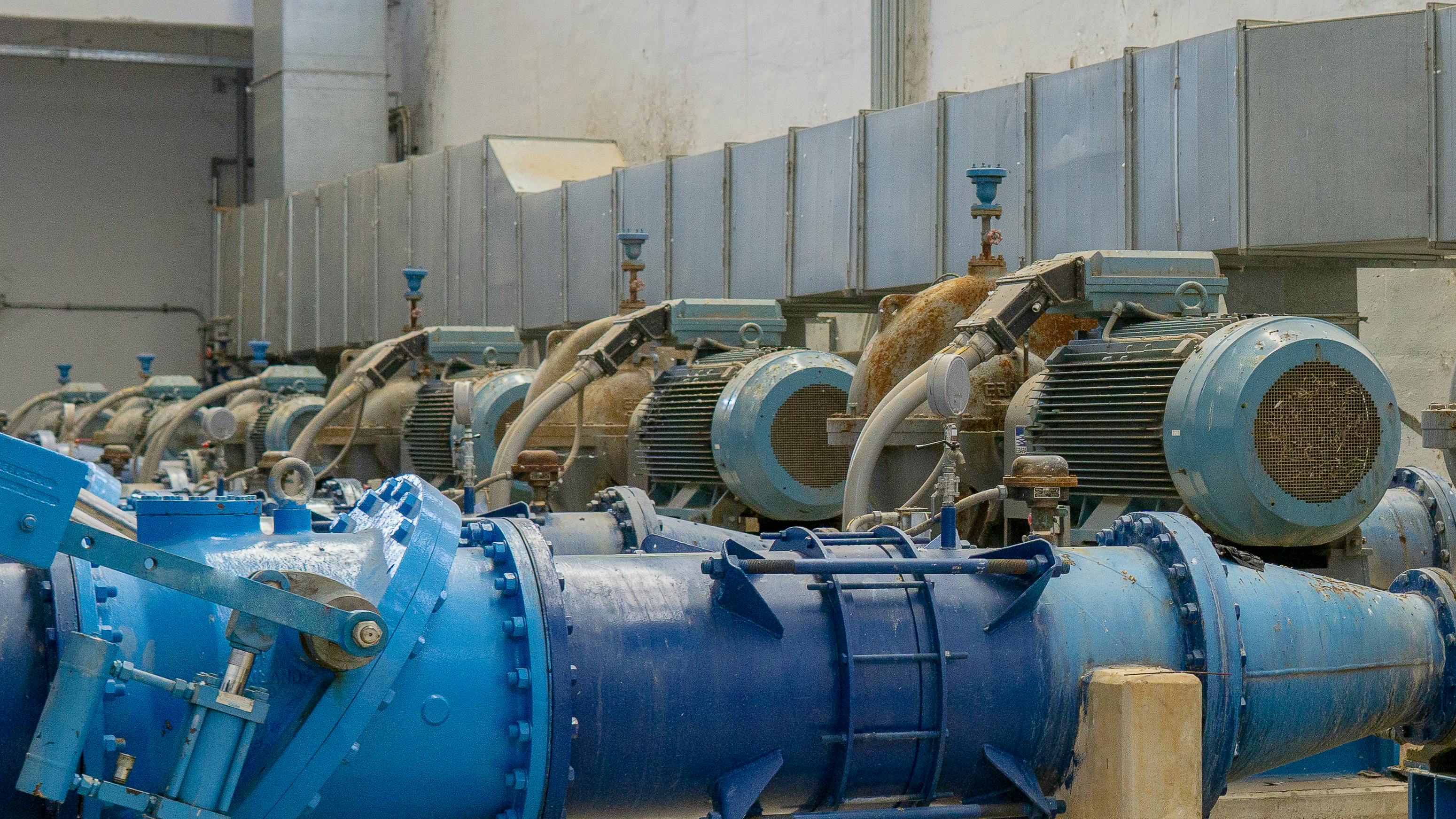 shutterstock_1918100924