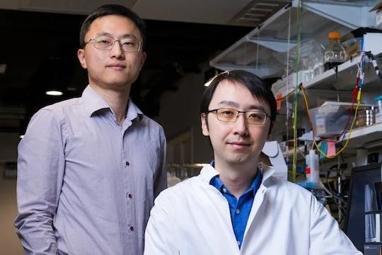 Rice University researchers Haotian Wang (left) and Feng-Yang Chen say they have discovered a new reactor system could decarbonize ammonia production and treat nitrate-contaminated water.