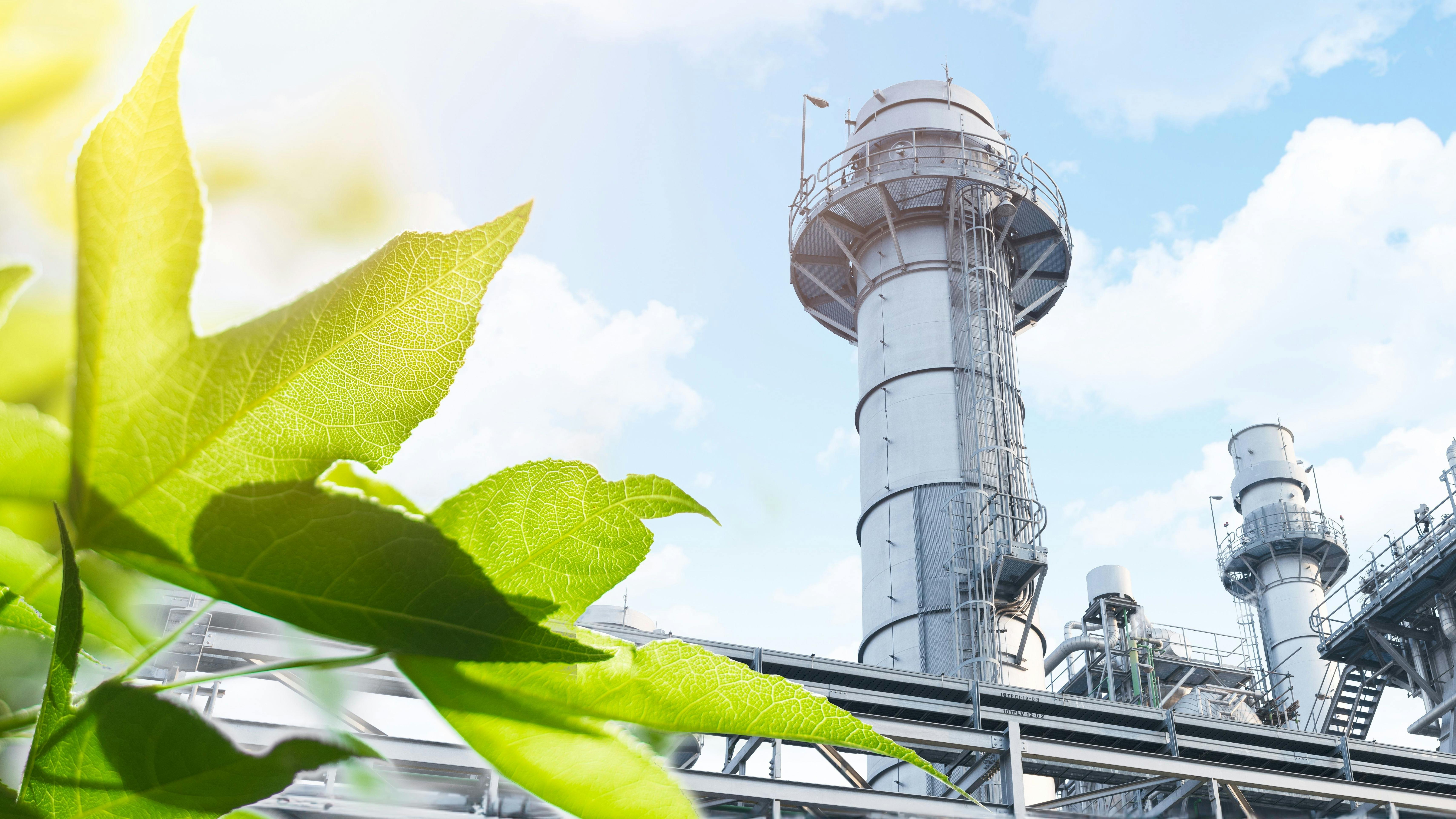 Decarbonization and clean energy in chemical sector
