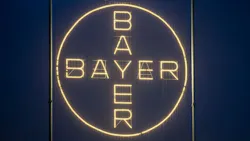 The Bayer logo, shines on the company's site in Leverkusen. The Bayer logo, shines on the company's site in Leverkusen.