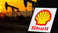 Shell reportedly considering sale of Deer Park chemicals plant near Houston Shell reportedly considering sale of Deer Park chemicals plant near Houston