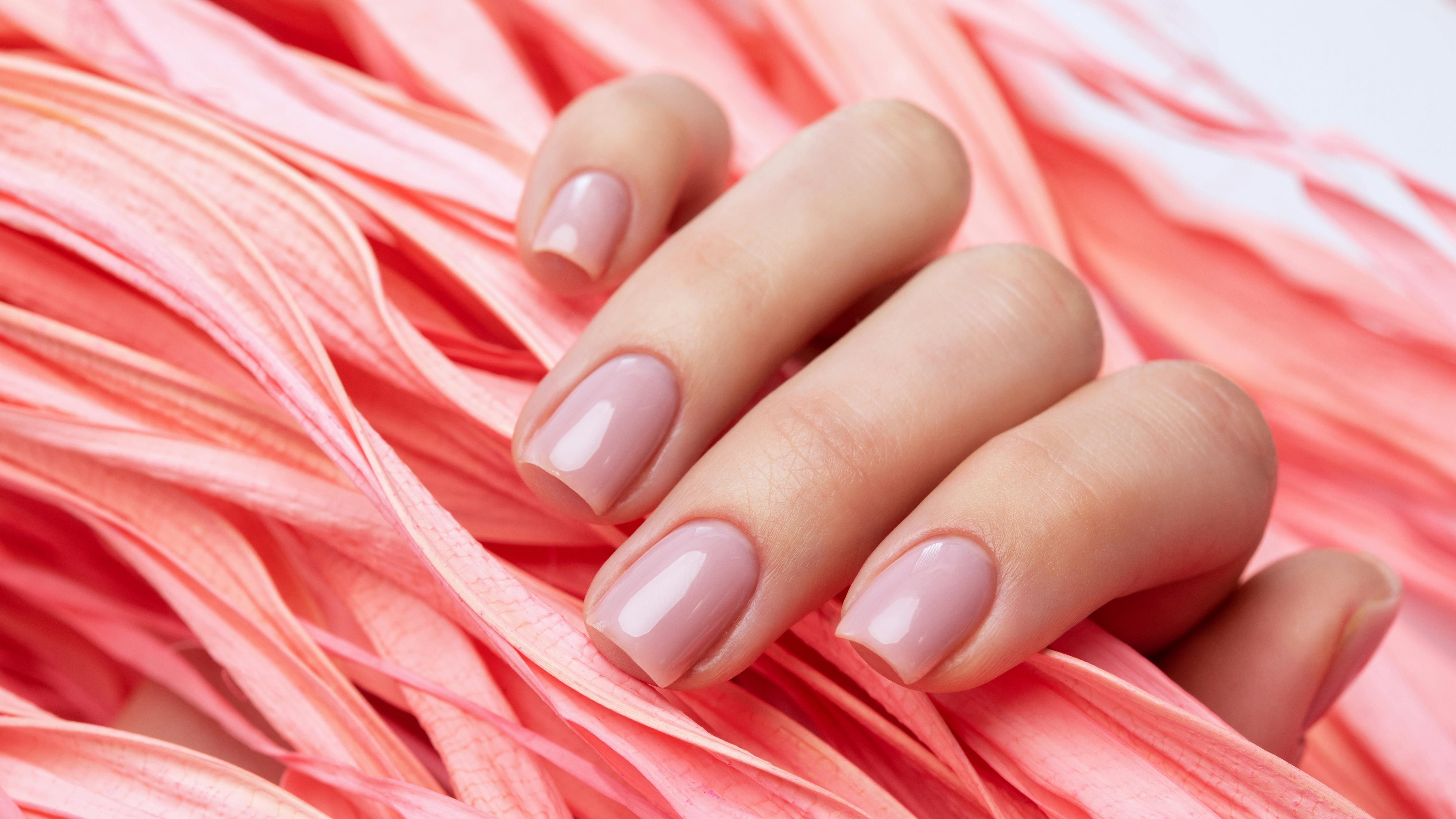 Close-up woman's hand holds a pink leaf similar to seaweed.