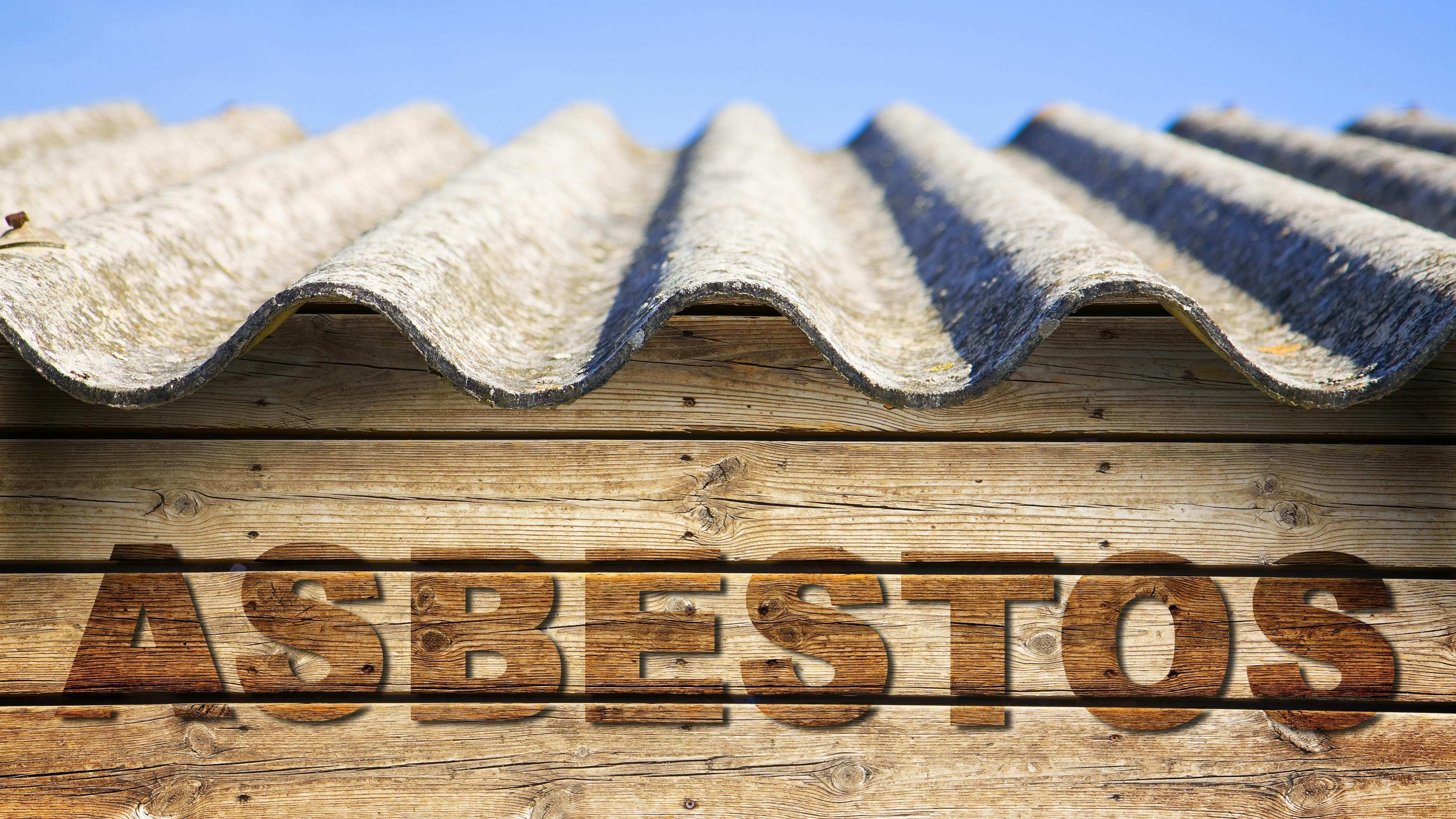 EPA Seeks Delay to Potentially Overturn Chrysotile Asbestos Ban