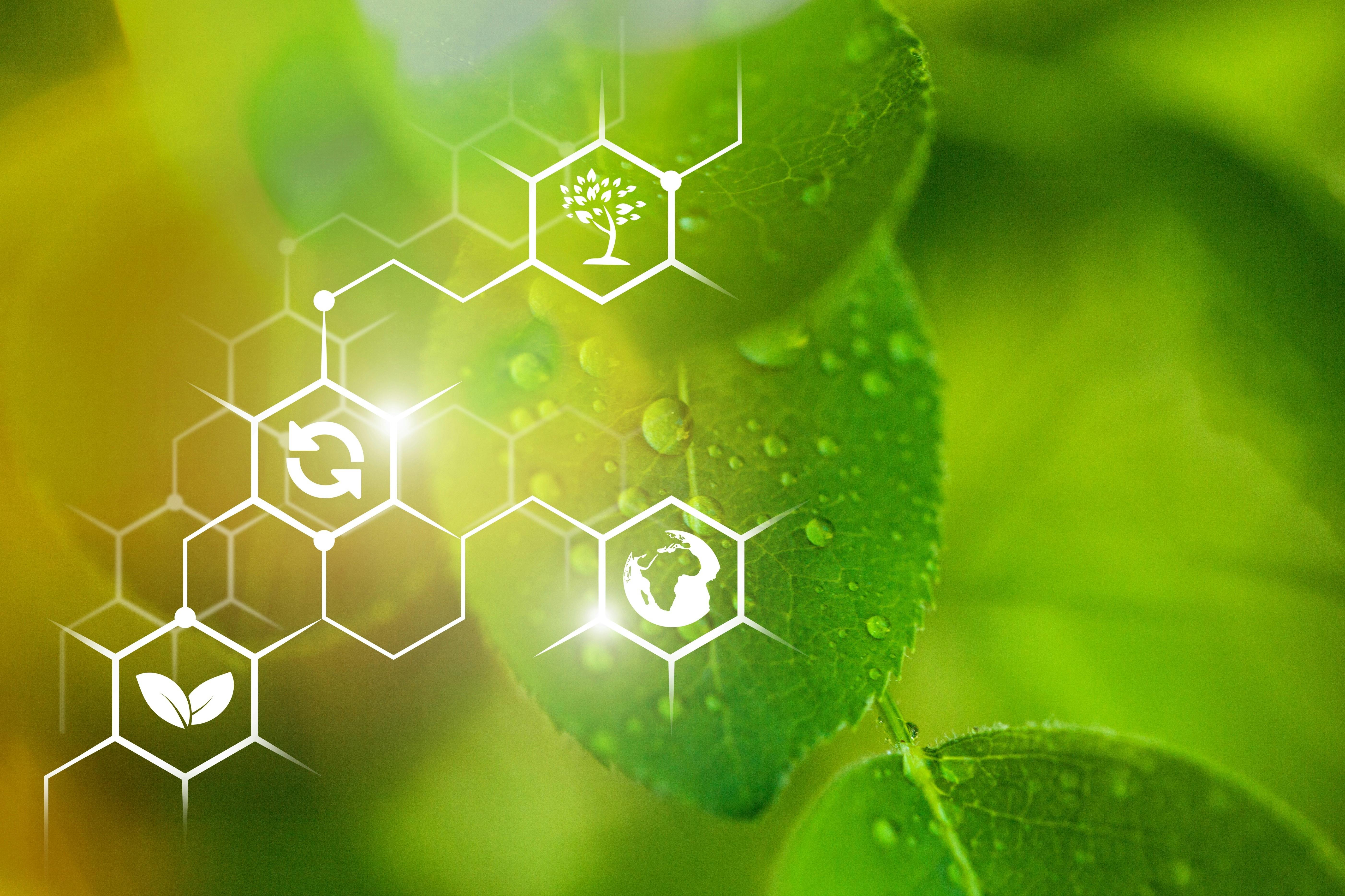 shutterstock_1609613188