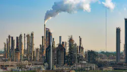 Plant at Mississippi river bank. Louisiana, USA Plant at Mississippi river bank. Louisiana, USA