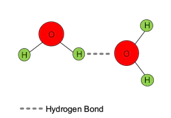 Figure 2. Schematic of hydrogen bonding between two water molecules. Figure 2. Schematic of hydrogen bonding between two water molecules.