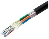 Th 0602cimpuphoto2 Th 0602cimpuphoto2