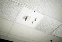 Th 0611cim P Wirem Th 0611cim P Wirem