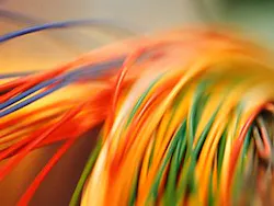 Report: Embedded OTDR/SFP transceivers to dominate for remote fiber testing, monitoring Report: Embedded OTDR/SFP transceivers to dominate for remote fiber testing, monitoring