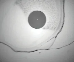 1610ciminstallation Photo 2 1610ciminstallation Photo 2