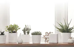 1702cimeditpicks Photo 6 1702cimeditpicks Photo 6