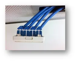 Panduitangled Panduitangled